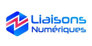 Logo - Liaisons numériques